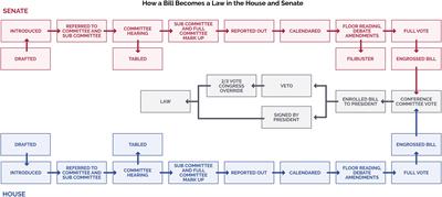 A Scientist’s Guide for Engaging in Policy in the United States